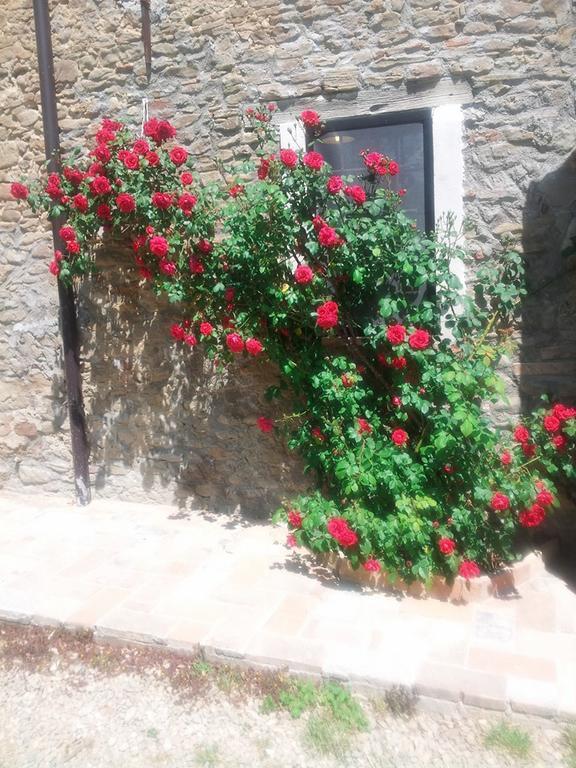 Agriturismo Mirasole Predappio Exterior foto
